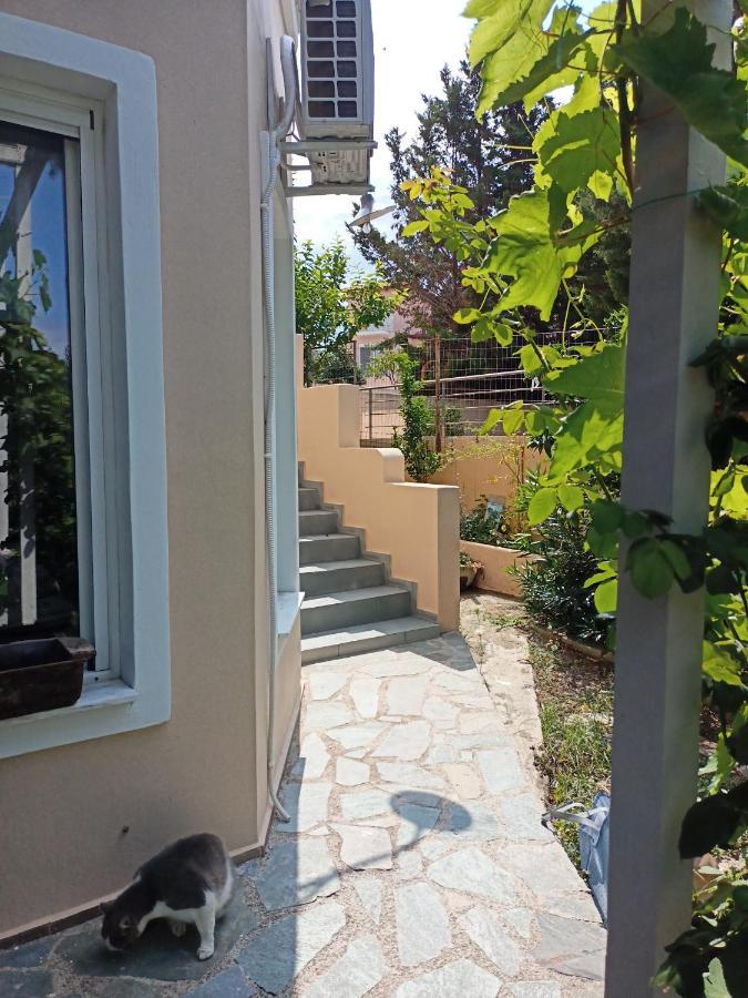 Levkákia Filion Comfortable Country Apartment מראה חיצוני תמונה