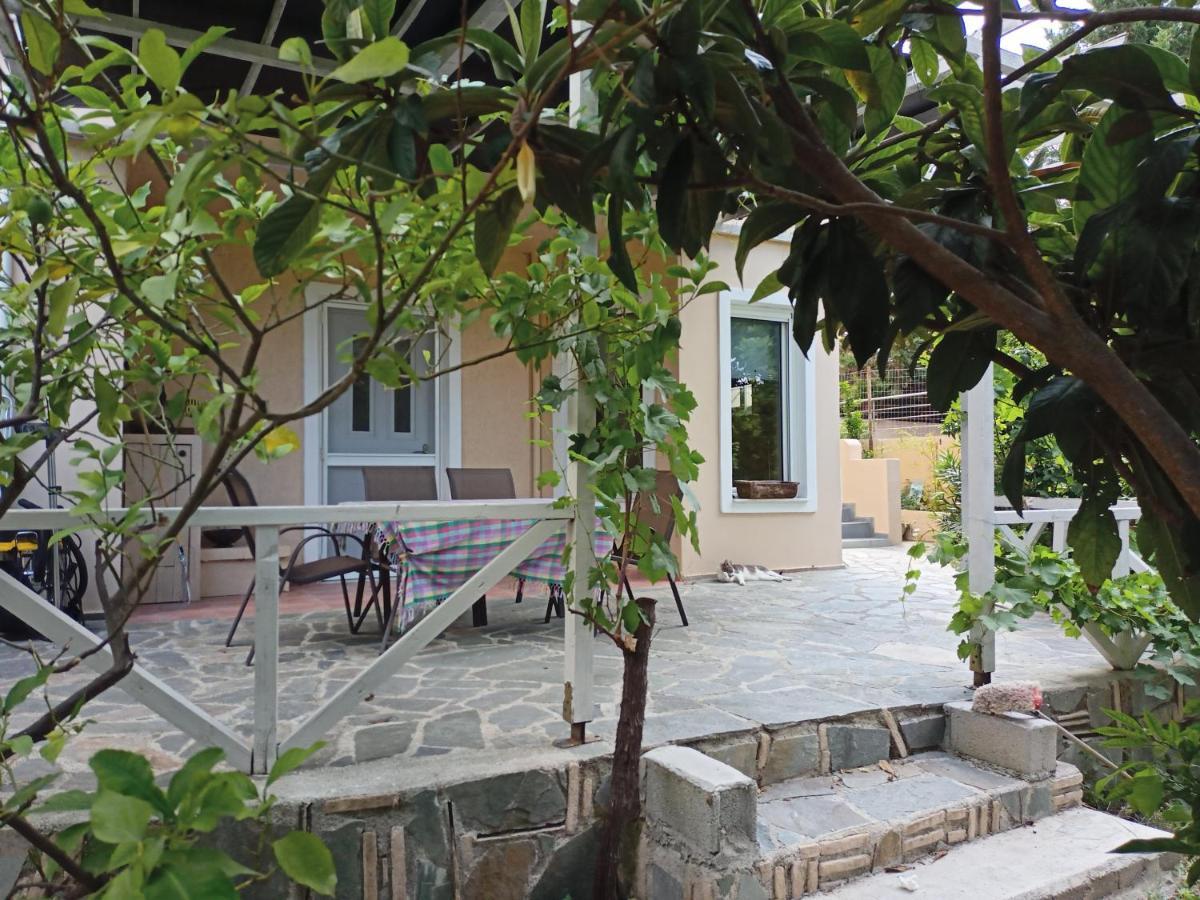 Levkákia Filion Comfortable Country Apartment מראה חיצוני תמונה
