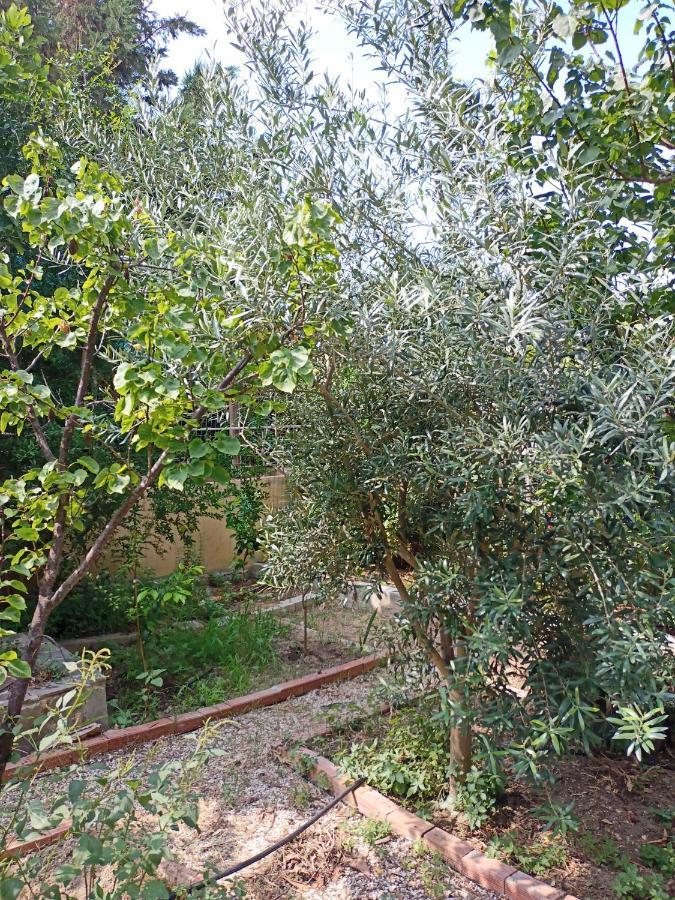 Levkákia Filion Comfortable Country Apartment מראה חיצוני תמונה